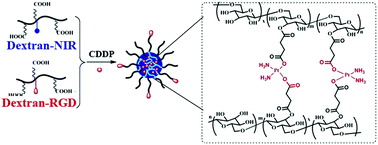 Graphical abstract: Cyclic RGD targeting cisplatin micelles for near-infrared imaging-guided chemotherapy