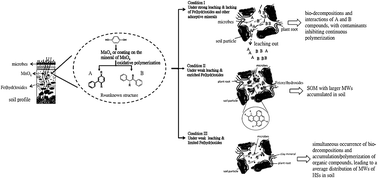 Graphical abstract: Interactions of the products of oxidative polymerization of hydroquinone as catalyzed by birnessite with Fe (hydr)oxides – an implication of the reactive pathway for humic substance formation