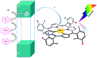 Graphical abstract: New hybrid materials based on halogenated metalloporphyrins for enhanced visible light photocatalysis