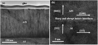 Graphical abstract: Quality-enhanced AlN epitaxial films grown on Al substrates by two-step growth