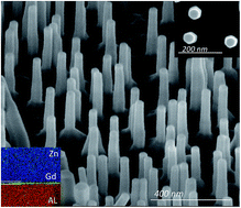 Graphical abstract: Homogeneous vertical ZnO nanorod arrays with high conductivity on an in situ Gd nanolayer