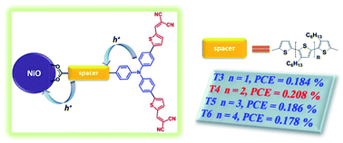 Graphical abstract: Insights into dye design for efficient p-type photoelectrodes: effect of oligothiophene length between the donor and the NiO surface