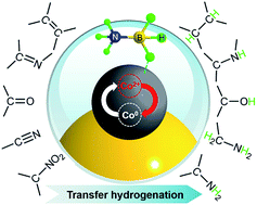 Graphical abstract: General transfer hydrogenation by activating ammonia-borane over cobalt nanoparticles