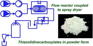 Graphical abstract: Combining a flow reactor with spray dryer to allow the preparation of food-grade quality sodium 2-polyhydroxyalkyl-1,3-thiazolidine-4-carboxylates with a low environmental impact