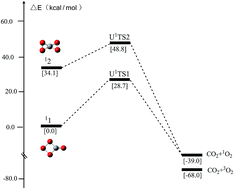 Graphical abstract: Monocyclic and bicyclic CO4: how stable are they?