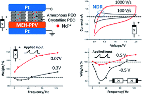 Graphical abstract: Effect of heavy-ion on frequency selectivity of semiconducting polymer/electrolyte heterojunction