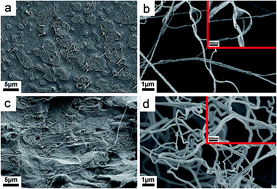 Graphical abstract: Excellent properties and extrusion foaming behavior of PPC/PS/PTFE composites with an in situ fibrillated PTFE nanofibrillar network