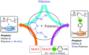 Graphical abstract: Exploring the effects of phenolic compounds on bis(imino)pyridine iron-catalyzed ethylene oligomerization