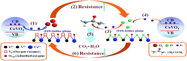 Graphical abstract: The role of oxygen adsorption and gas sensing mechanism for cerium vanadate (CeVO4) nanorods