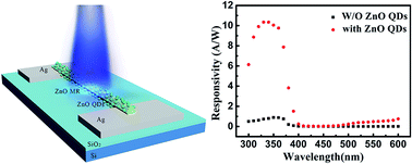 Graphical abstract: Energy band modification for UV photoresponse improvement in a ZnO microrod-quantum dot structure