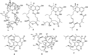 Graphical abstract: Overexpression of div8 increases the production and diversity of divergolides in Streptomyces sp. W112