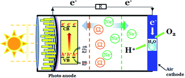 Graphical abstract: Enhanced photocatalytic activity for the degradation of rhodamine B by integrating salinity gradient power into a photocatalytic fuel cell
