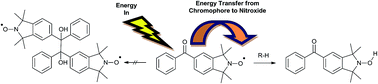 Graphical abstract: Photo-induced proton coupled electron transfer from a benzophenone ‘antenna’ to an isoindoline nitroxide