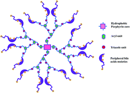 Graphical abstract: Synthesis, photophysical properties and anticancer activity of micro-environment sensitive amphiphilic bile acid dendrimers