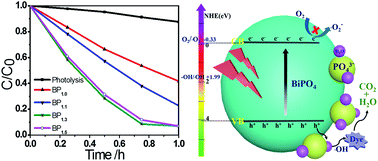 Graphical abstract: Controllable synthesis of phosphate-modified BiPO4 nanorods with high photocatalytic activity: surface hydroxyl groups concentrations effects