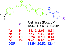 Graphical abstract: Synthesis and biological evaluation of novel hybrid compounds between chalcone and piperazine as potential antitumor agents