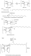 Graphical abstract: Alginate surfactant derivatives as an ecofriendly corrosion inhibitor for carbon steel in acidic environments