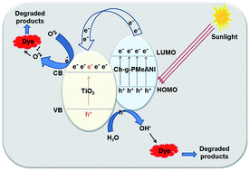 Graphical abstract: Ultrasonic-mediated synthesis and characterization of TiO2-loaded chitosan-grafted-polymethylaniline nanoparticles of potent efficiency in dye uptake and sunlight driven self-cleaning applications