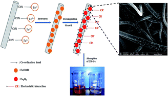 Graphical abstract: Iron oxide nanoparticle-immobilized PAN nanofibers: synthesis and adsorption studies