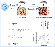 Graphical abstract: Synthesis and anisotropic self-assembly of Ag nanoparticles immobilized by the Pluronic F127 triblock copolymer for colorimetric detection of H2O2