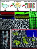 Graphical abstract: Optimized fabrication and characterization of TiO2–Nb2O5–Al2O3 mixed oxide nanotube arrays on Ti–6Al–7Nb