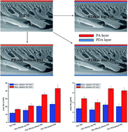 Graphical abstract: Synthesis and characterization of a polyamide thin film composite membrane based on a polydopamine coated support layer for forward osmosis