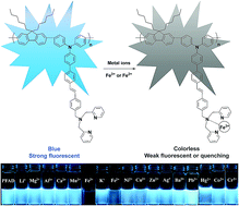 Graphical abstract: Synthesis and chemosensory properties of triphenylamine-substituted conjugated polyfluorene containing a terminal di(2-picolyl)amine moiety