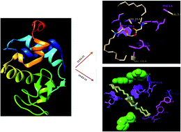 Graphical abstract: New insights into binding interaction of novel ester-functionalized m-E2-m gemini surfactants with lysozyme: a detailed multidimensional study