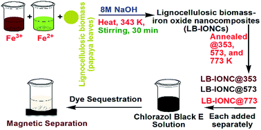 Graphical abstract: Fabrication and characterization of novel lignocellulosic biomass tailored Fe3O4 nanocomposites: influence of annealing temperature and chlorazol black E sequestration