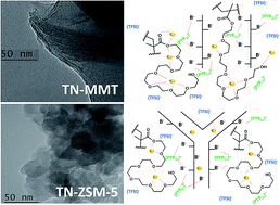 Graphical abstract: Nanocomposite polymer electrolytes based on poly(poly(ethylene glycol)methacrylate), MMT or ZSM-5 formulated with LiTFSI and PYR11TFSI for Li-ion batteries