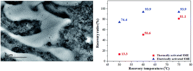 Graphical abstract: Thermal and electroactive shape memory behaviors of poly(l-lactide)/thermoplastic polyurethane blend induced by carbon nanotubes