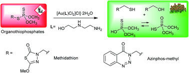 Graphical abstract: An Au(iii)–amino alcohol complex for degradation of organophosphorus pesticides