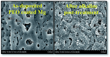 Graphical abstract: A simple strategy to modify the porous structure of plasma electrolytic oxidation coatings on magnesium