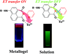 Graphical abstract: Ultrasound accelerated sugar based gel for in situ construction of a Eu3+-based metallogel via energy transfer in a supramolecular scaffold
