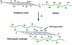 Graphical abstract: One-pot synthesis and characterization of reduced graphene oxide–gelatin nanocomposite hydrogels