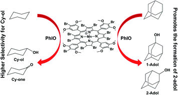 Graphical abstract: New highly brominated Mn-porphyrin: a good catalyst for activation of inert C–H bonds