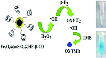 Graphical abstract: Colourimetric assay for β-estradiol based on the peroxidase-like activity of Fe3O4@mSiO2@HP-β-CD nanoparticles