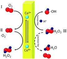 Graphical abstract: On the origin of the oxidizing ability of ceria nanoparticles