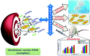 Graphical abstract: Evaluation of surface acetylated and internally quaternized poly(propylene imine) dendrimer as a biocompatible drug carrier for piroxicam as a model drug