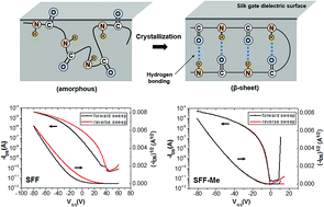 Graphical abstract: Critical role of silk fibroin secondary structure on the dielectric performances of organic thin-film transistors