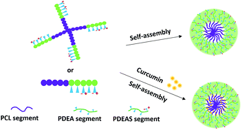 Graphical abstract: The effect of architecture/composition on the pH sensitive micelle properties and in vivo study of curcuminin-loaded micelles containing sulfobetaines