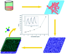 Graphical abstract: Facile preparation of a composite of TiO2 nanosheets and polyaniline and its gas sensing properties