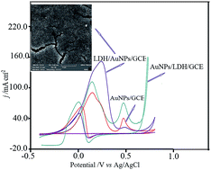 Graphical abstract: Electrocatalytic oxidation of ethanol on a glassy carbon electrode modified with a gold nanoparticle-coated hydrolyzed CaFe–Cl layered double hydroxide in alkaline medium