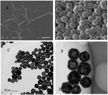 Graphical abstract: An electrochemical sensor based on reduced graphene oxide and copper sulfide hollow nanospheres