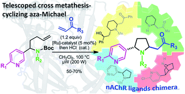 Graphical abstract: Microwave-assisted telescoped cross metathesis-ring closing aza-Michael reaction sequence: step-economical access to nicotine–lobeline hybrid analogues