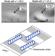 Graphical abstract: Fluid flow analysis of continuous and segmented riblet structures