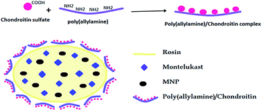 Graphical abstract: Magnetic chondroitin targeted nanoparticles for dual targeting of montelukast in prevention of in-stent restenosis