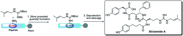 Graphical abstract: A silver-promoted solid-phase guanidylation process enables the first total synthesis of stictamide A