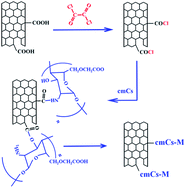 Graphical abstract: Metal ion-coordinated carboxymethylated chitosan grafted carbon nanotubes with enhanced antibacterial properties