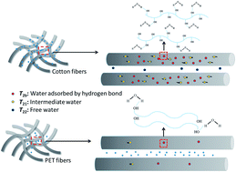 Graphical abstract: Characterization of water state and distribution in fibre materials by low-field nuclear magnetic resonance